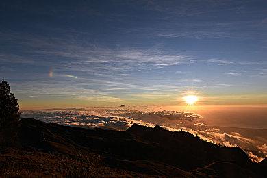 《餐癮地城》全语音包DLC上线 好评横版动作名作